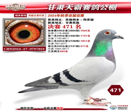 甘肅天霸決賽471名