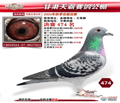 甘肅天霸決賽474名