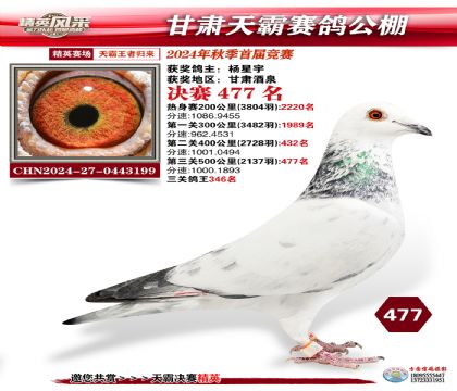 甘肅天霸決賽477名