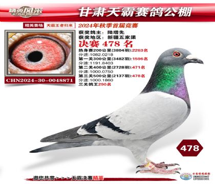甘肅天霸決賽478名