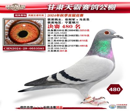 甘肅天霸決賽480名