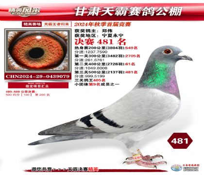 甘肅天霸決賽481名