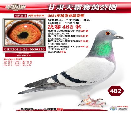 甘肅天霸決賽482名