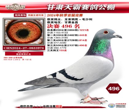 甘肅天霸決賽496名