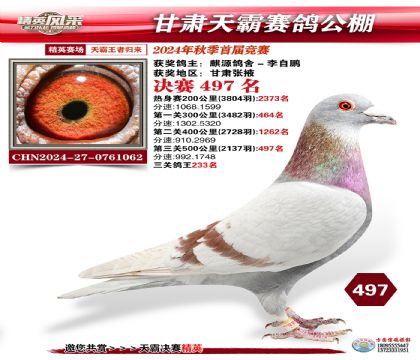 甘肅天霸決賽497名