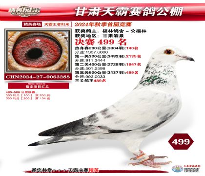 甘肅天霸決賽499名