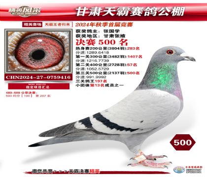 甘肅天霸決賽500名