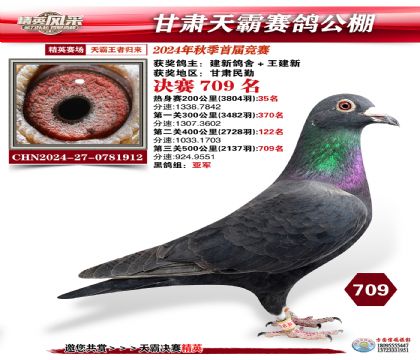 甘肅天霸決賽709名