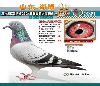 特比四關(guān)鴿王3名