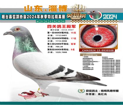 特比四關(guān)鴿王4名