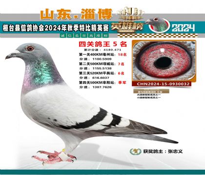 特比四關(guān)鴿王5名