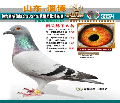 特比四關(guān)鴿王6名