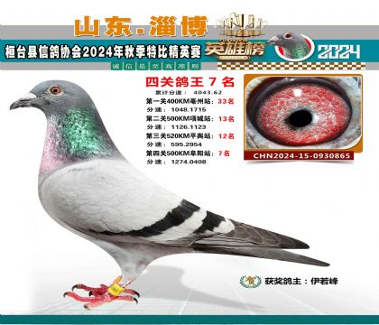 特比四關(guān)鴿王7名