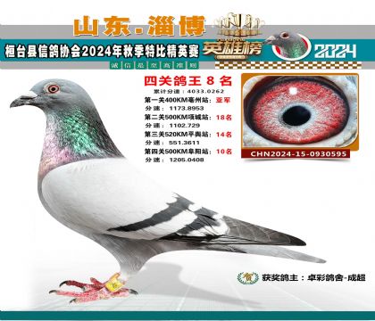 特比四關(guān)鴿王8名