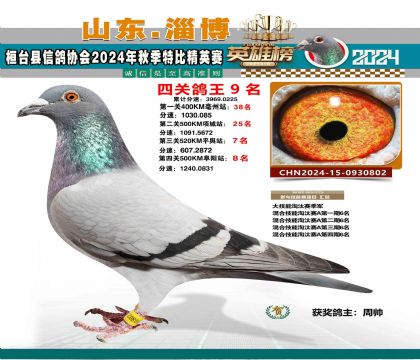 特比四關(guān)鴿王9名