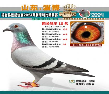 特比四關(guān)鴿王10名