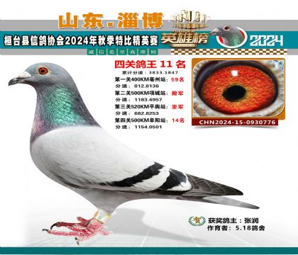 特比四關(guān)鴿王11名