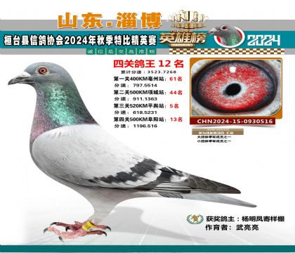 特比四關(guān)鴿王12名