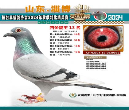 特比四關(guān)鴿王13名