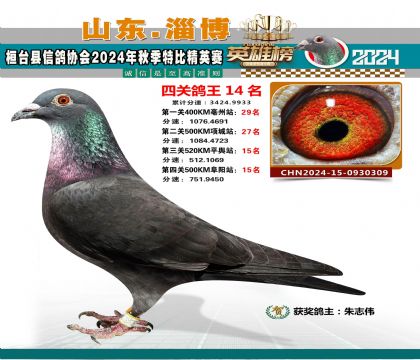 特比四關(guān)鴿王14名
