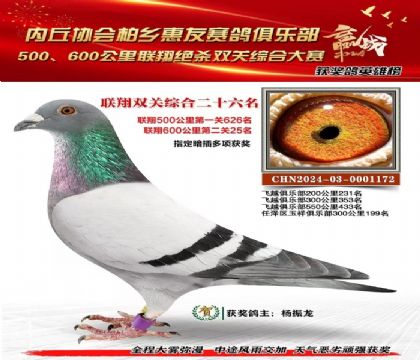 500600C(lin)26