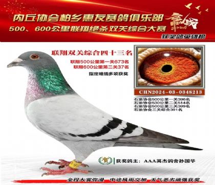 500600C(lin)43