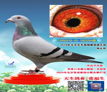 ɹ87ĸH