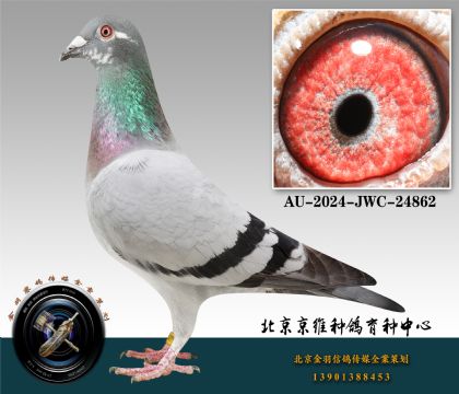 105-AU-2024-JWC-24862