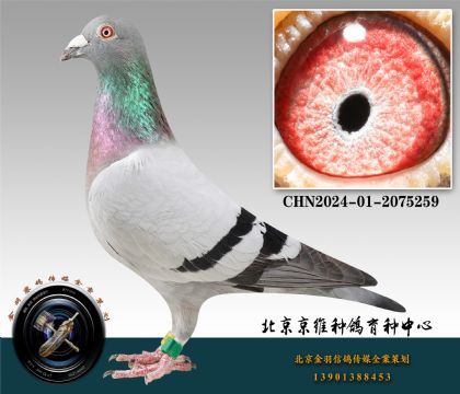 112-2024-01-2075259