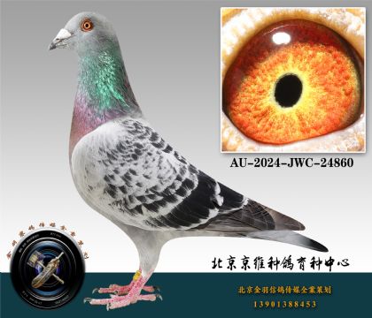 116-AU-2024-JWC-24860