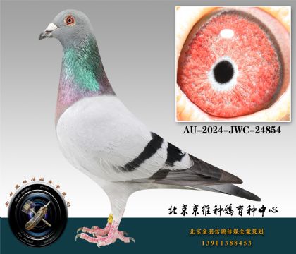 123-AU-2024-JWC-24854