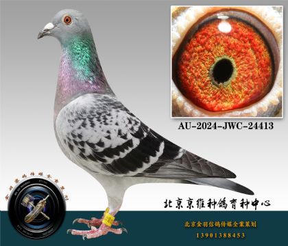 159-AU-2024-JWC-24413