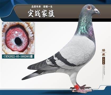 棟克斯奶酪“泰山號(hào)”