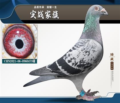 楊龔多拉斯“彩虹號”