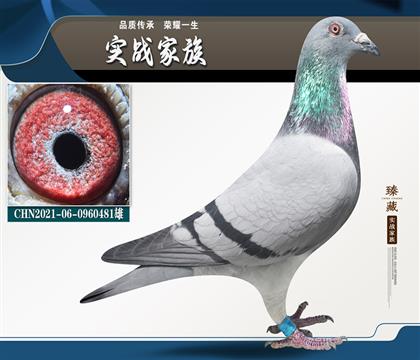 f̖W߿481