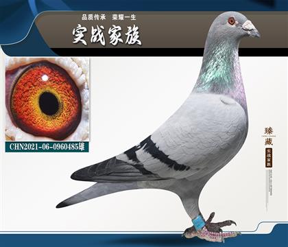 蓋比閃電 寄養(yǎng)棚多項暗插指定獲獎