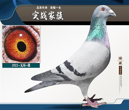 蓋比閃電一代傳承
