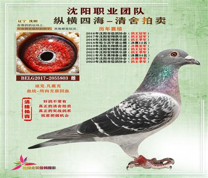 迪克.凡戴克“所向無敵”