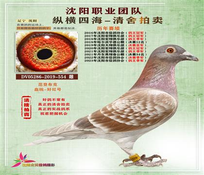 范登布克“頂級-基特爾”