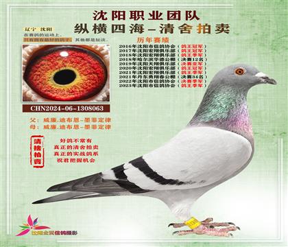 威廉.迪布恩“墨菲定律”回血