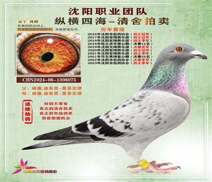 威廉.迪布恩“墨菲定律”回血