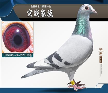 ǲ˽Ѫ