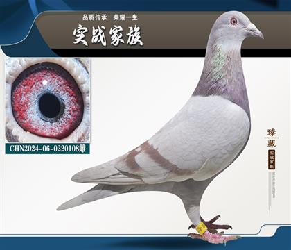 超級(jí)遺傳 復(fù)刻一樣