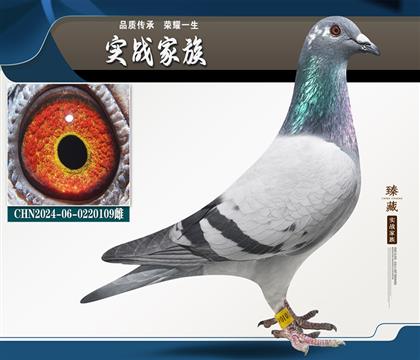 Ӣ˹178