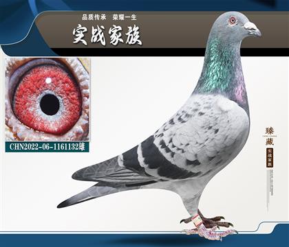 王志剛-吳昊眾翔小五