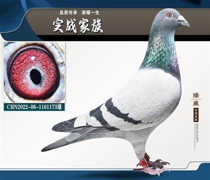 凡龍 五關23名平輩