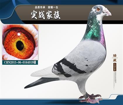 ɣʿǹ̖