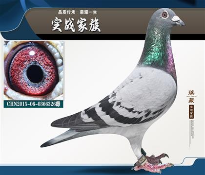 功勛雌三翔馬克360