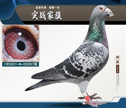 神奇號 孫代 勝凱公棚70名