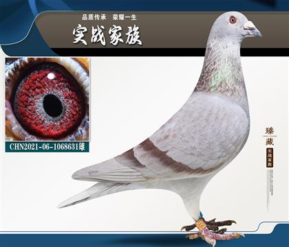 凡登布克好紅號(hào)